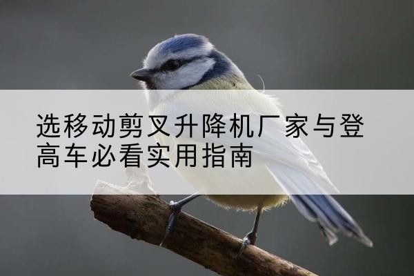 沽源电动升降机厂家-选移动剪叉升降机厂家与登高车必看实用指南