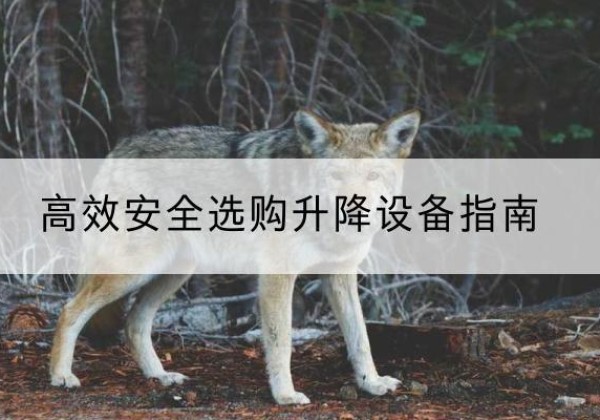沽源升降货梯厂家推荐-*安全选购升降设备指南